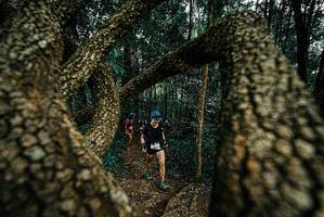 BIB: 
                            <button type="button" onclick="openModal(25674025)" class="btn btn-primary btn-sm float-right btn-popup" data-toggle="modal" data-target=".modal-high-quality">
                        <i class="fas fa-shopping-cart"></i> Add to Cart
                    </button>
                                            <button type="button" onclick="isThisMe(25674025, true)" class="btn btn-success btn-sm float-right btn-popup btn-isme hidden" data-toggle="tooltip" data-placement="bottom" title="นี่คือรูปของคุณใช่ไหม คลิกที่นี่เพื่อเอาเข้าอัลบั้ม">
                        <i class="fas fa-plus"></i> Add to album
                    </button>
                    <button type="button" onclick="isThisMe(25674025, false)" class="btn btn-warning btn-sm float-right btn-popup btn-isnotme hidden">
                        <i class="fas fa-ban"></i> Remove from album
                    </button>